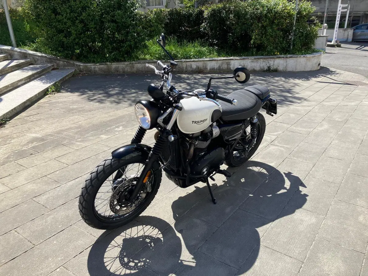 Triumph Street Scrambler 900 (2021 - 22) (2)