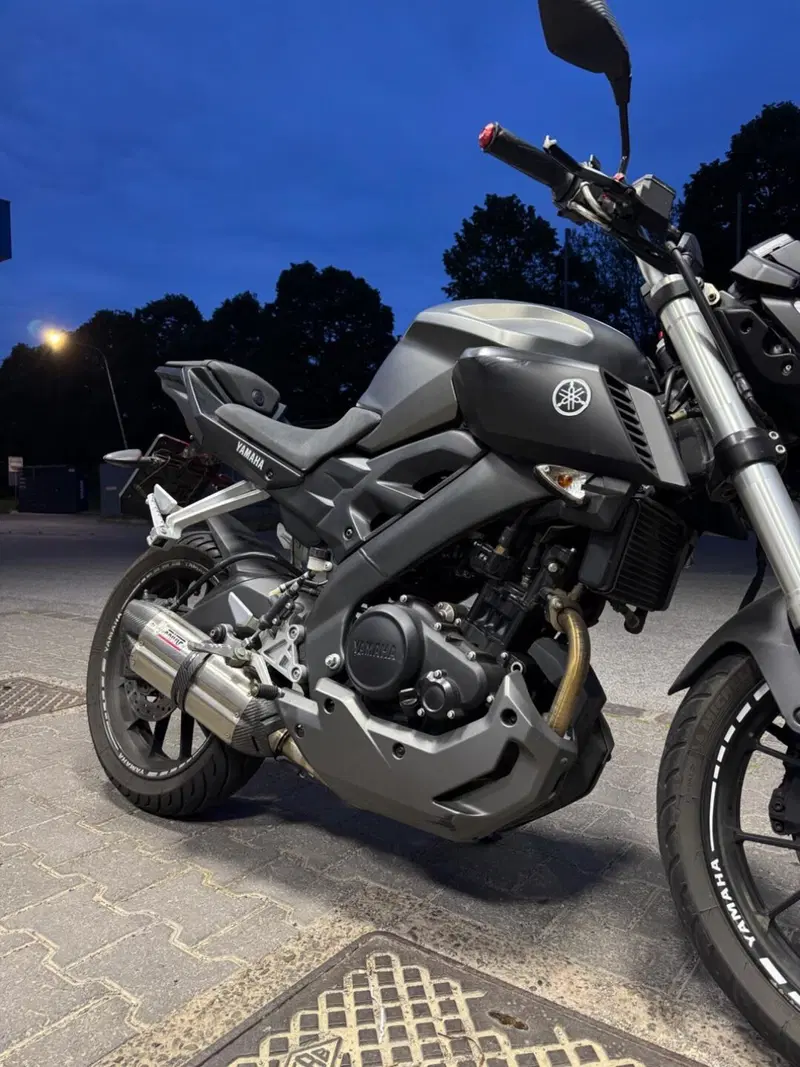 Yamaha MT-125 (2014 - 16) (6)
