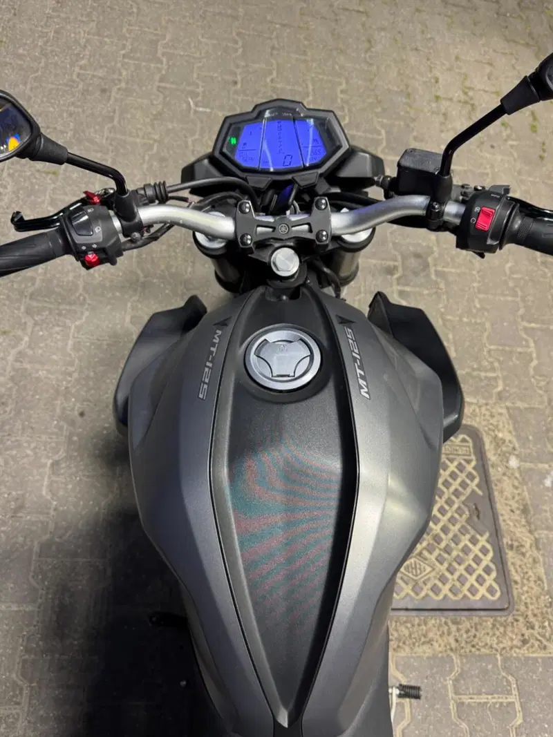 Yamaha MT-125 (2014 - 16) (8)