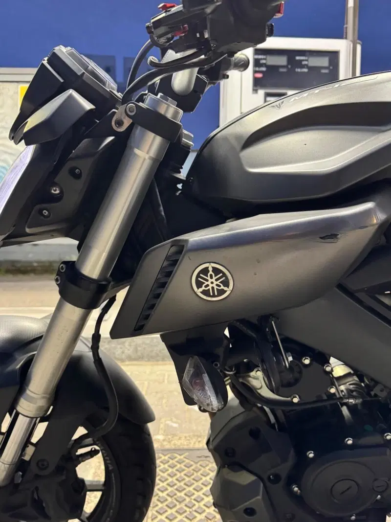 Yamaha MT-125 (2014 - 16) (9)