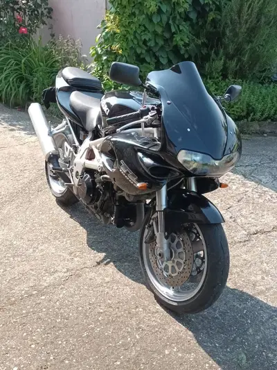 Suzuki TL 1000 S (1997 - 03) usata