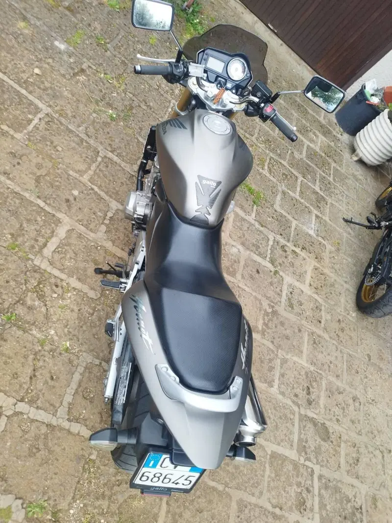 Honda Hornet 600 (2005 - 06)
