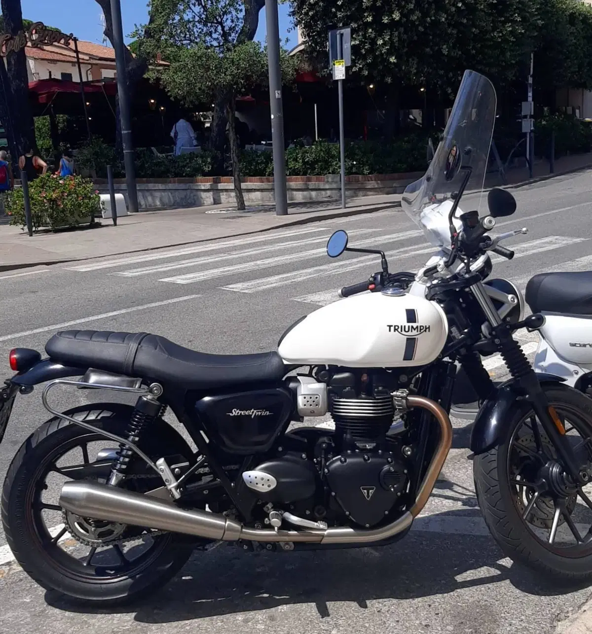 Triumph Street Twin 900 (2017 - 18) (2)