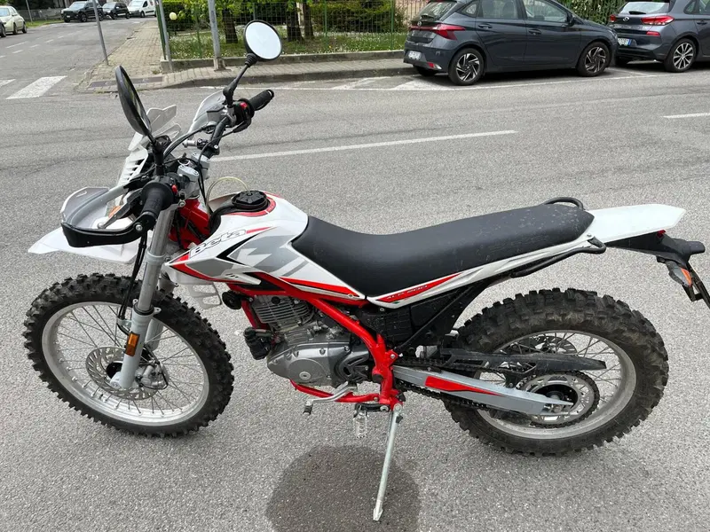 Betamotor Alp 200 (2021 - 25) (2)