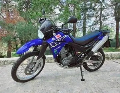 Yamaha XT 660 R (2004 - 16) usata
