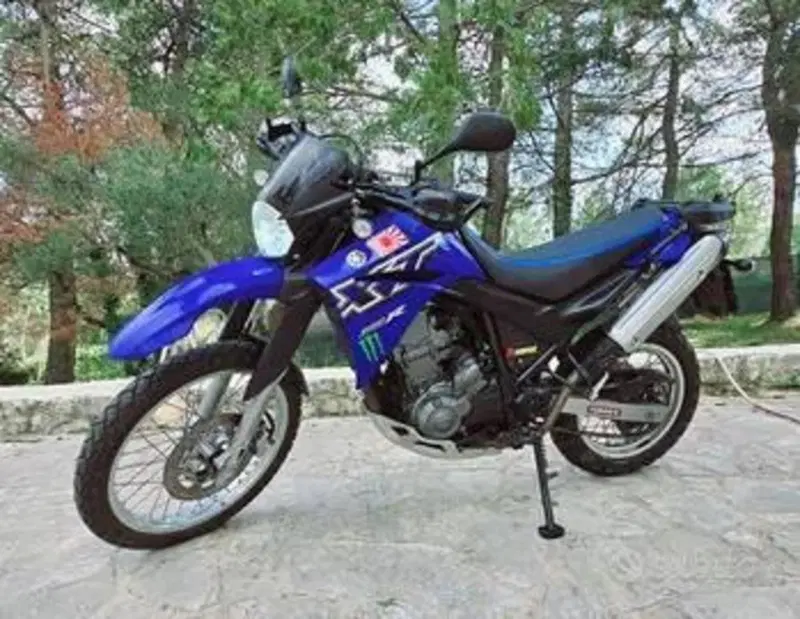 Yamaha XT 660 R (2004 - 16)