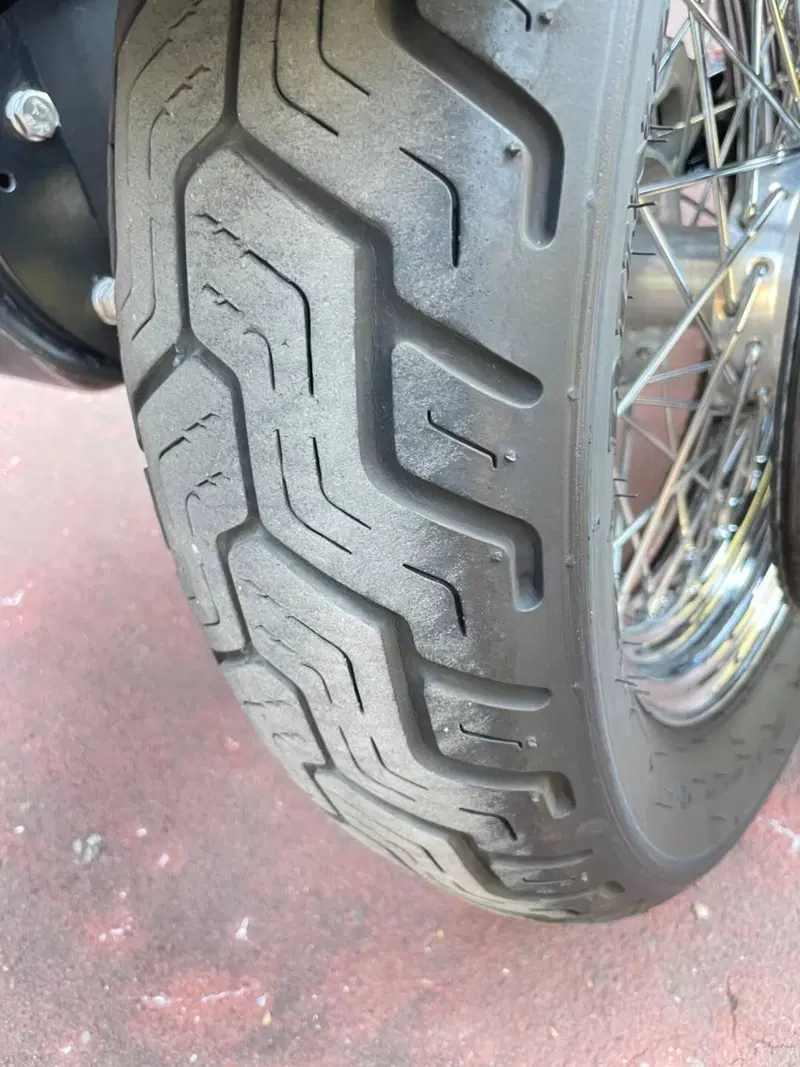 Harley-Davidson 1200 Custom (2007 - 13) - XL 1200C (5)