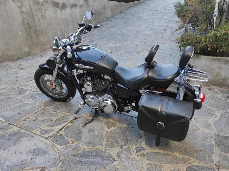 Harley-Davidson 1200 Custom (2007 - 13) - XL 1200C (9)