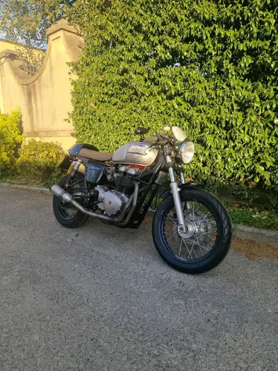 Triumph Thruxton 900 (2004 - 15) usata