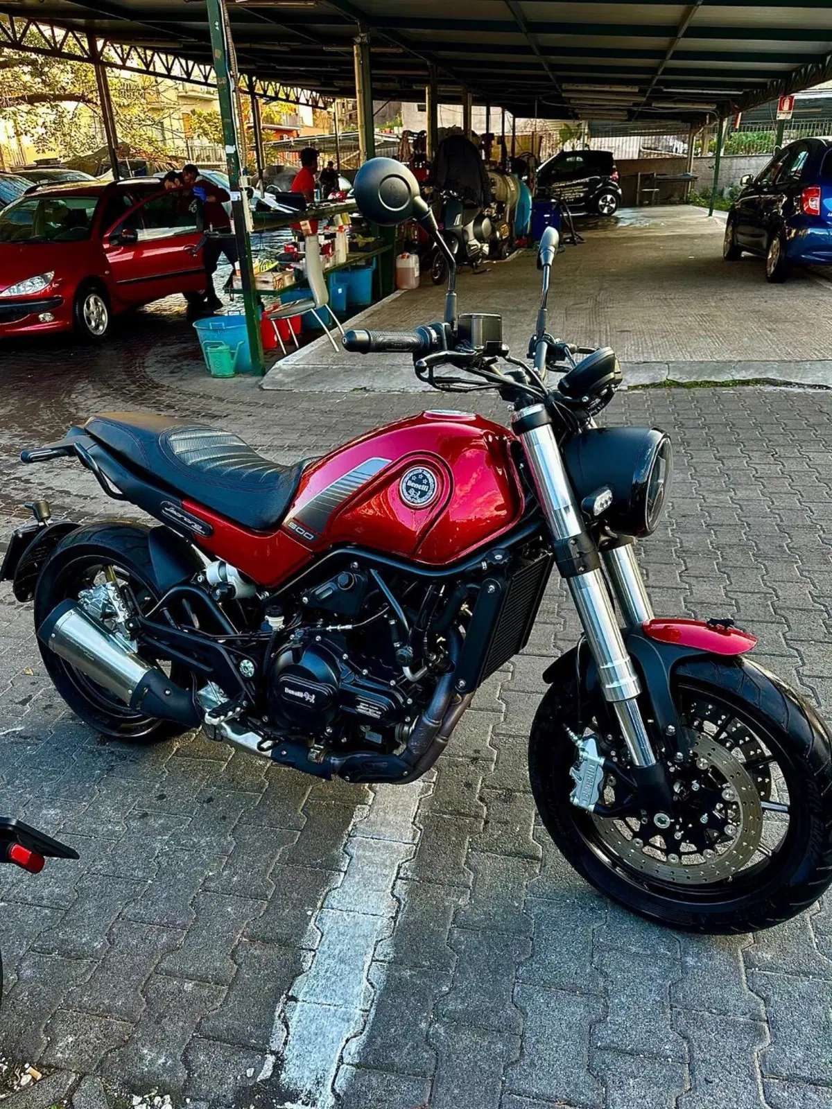 Benelli Leoncino 500 (2021 - 25)