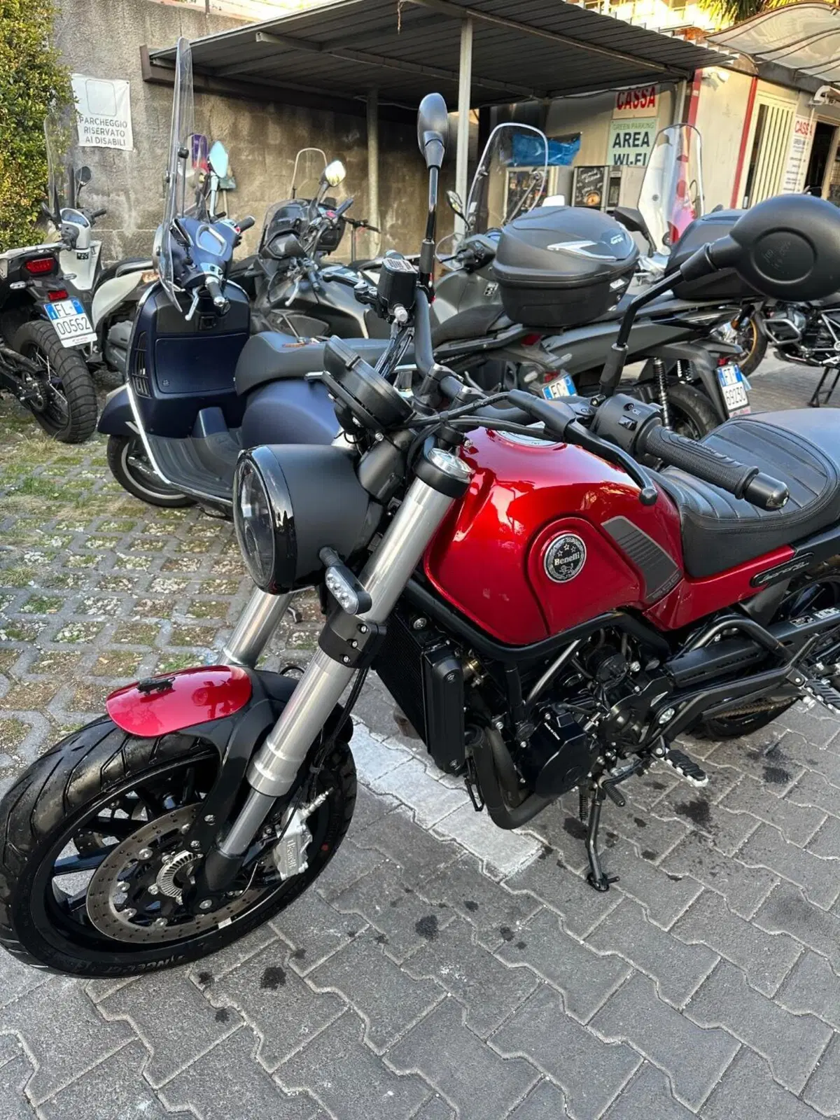 Benelli Leoncino 500 (2021 - 25) (3)