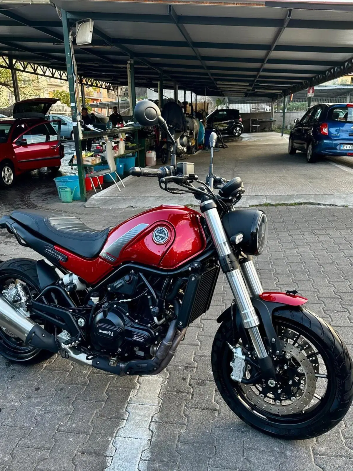 Benelli Leoncino 500 (2021 - 25) (6)