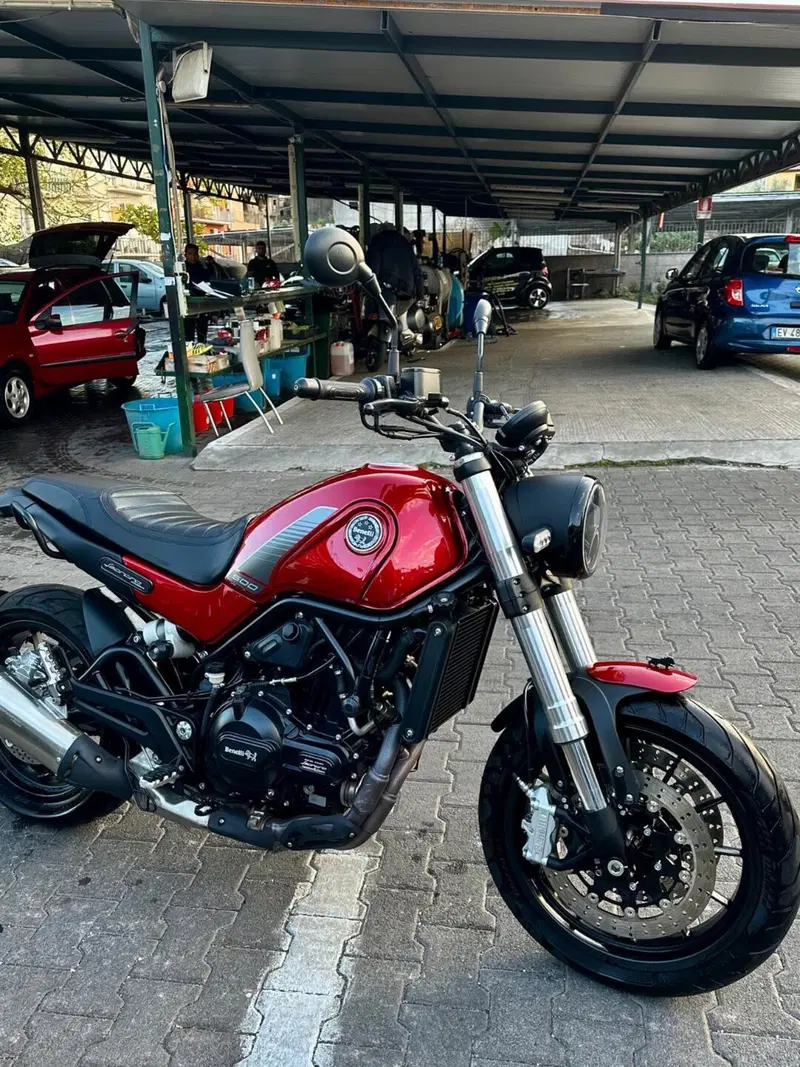 Benelli Leoncino 500 (2021 - 25) (6)