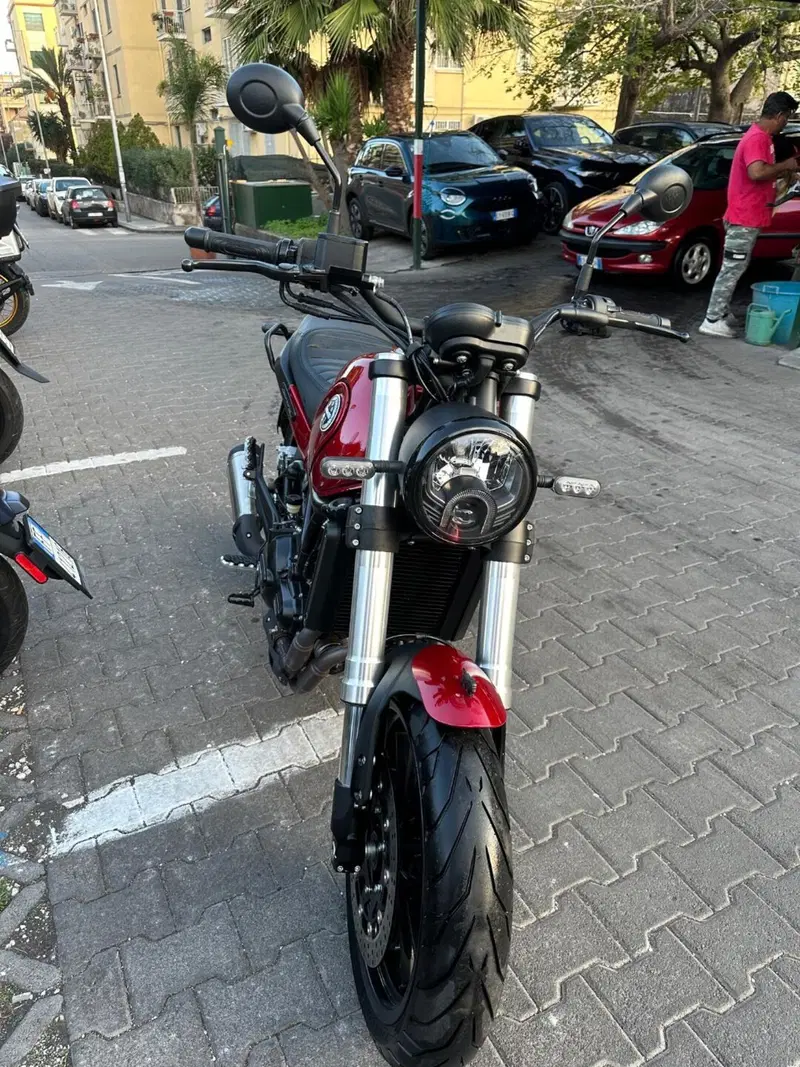 Benelli Leoncino 500 (2021 - 25) (7)
