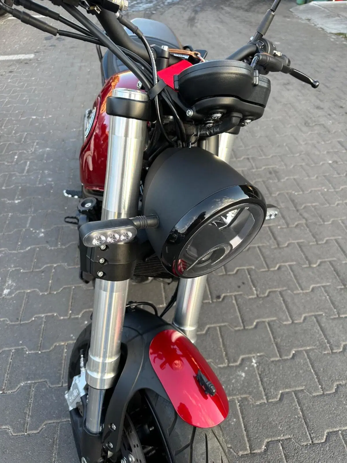 Benelli Leoncino 500 (2021 - 25) (9)