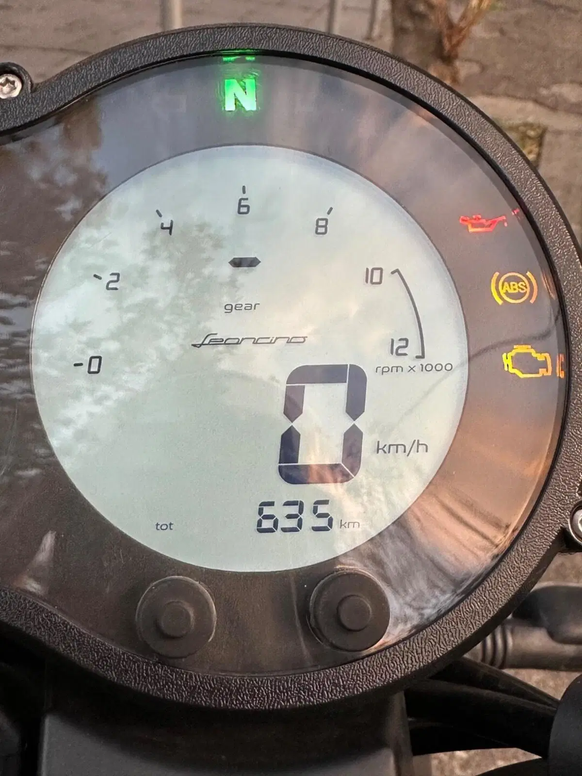 Benelli Leoncino 500 (2021 - 25) (12)