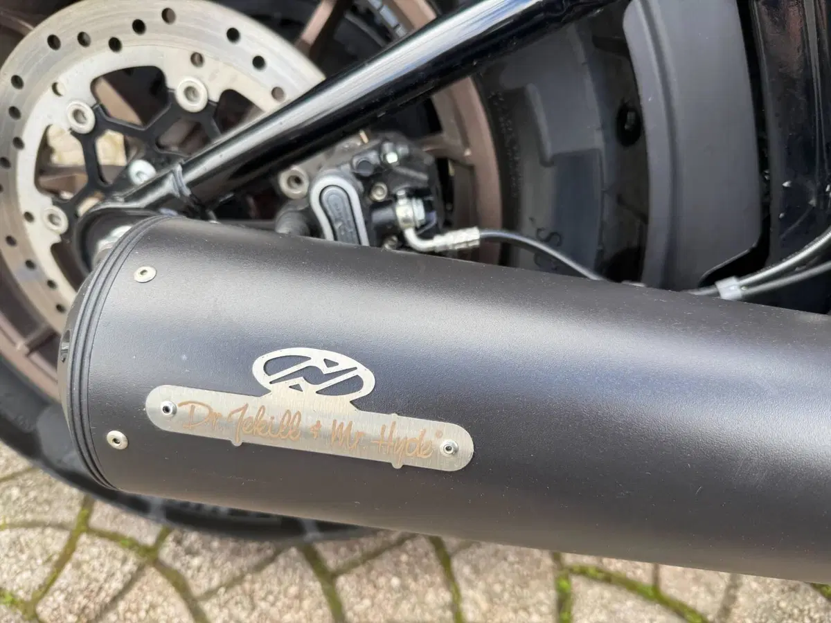 Harley-Davidson 114 Low Rider S (2021) - FXLRS (7)