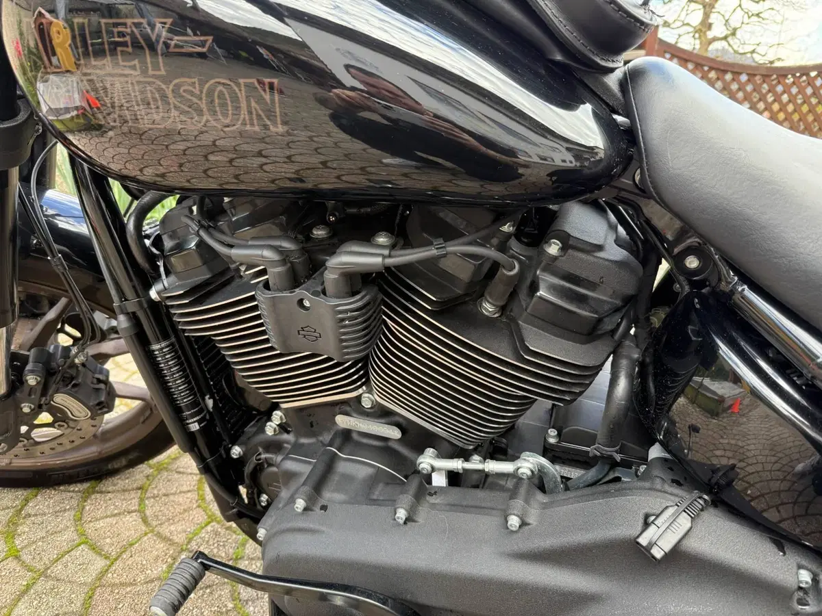 Harley-Davidson 114 Low Rider S (2021) - FXLRS (15)