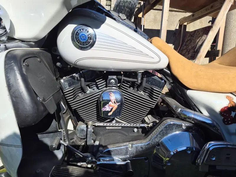 Harley-Davidson 1450 Electra Glide Ultra Classic (2003 - 05) - FLHTCUI (6)