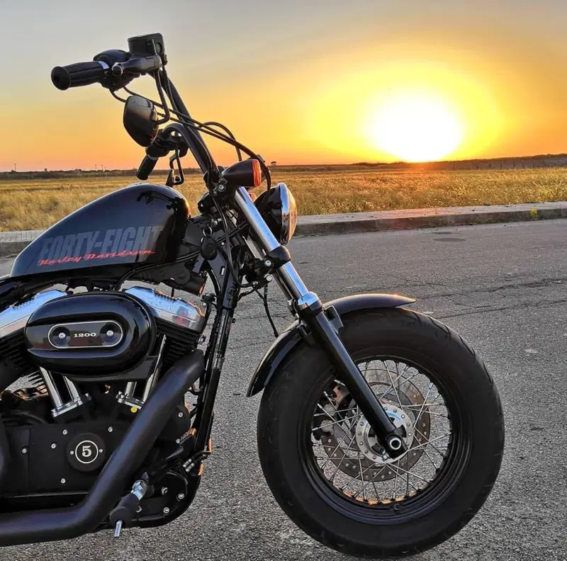 Harley-Davidson 1200 Forty-Eight (2010 - 15) (2)