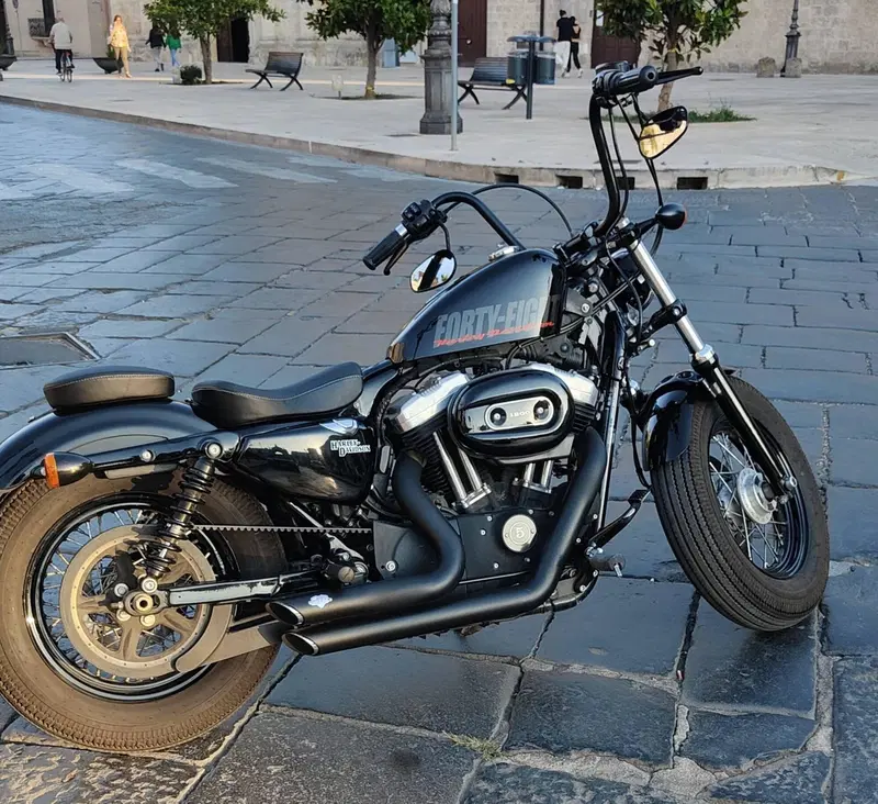Harley-Davidson 1200 Forty-Eight (2010 - 15) (3)