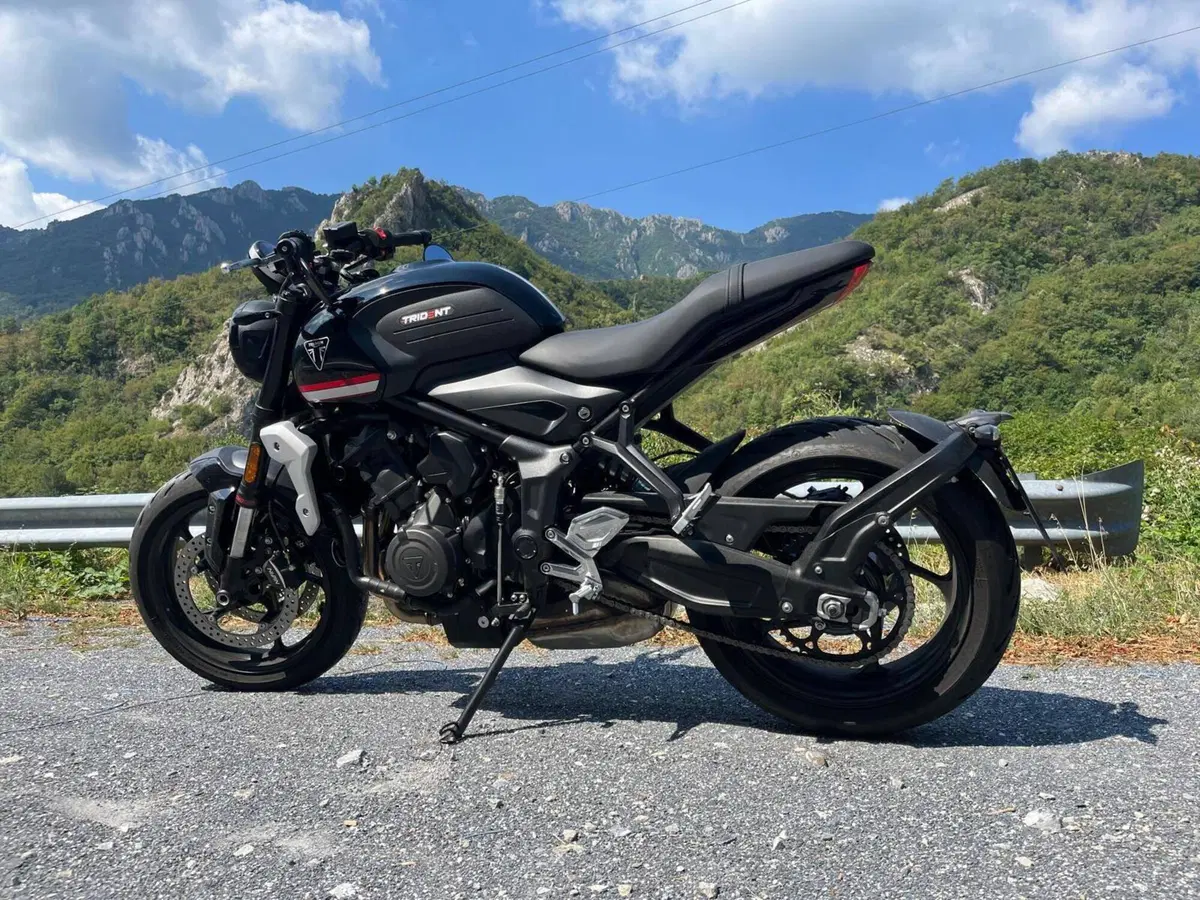 Triumph Trident 660 (2021 - 24) (2)