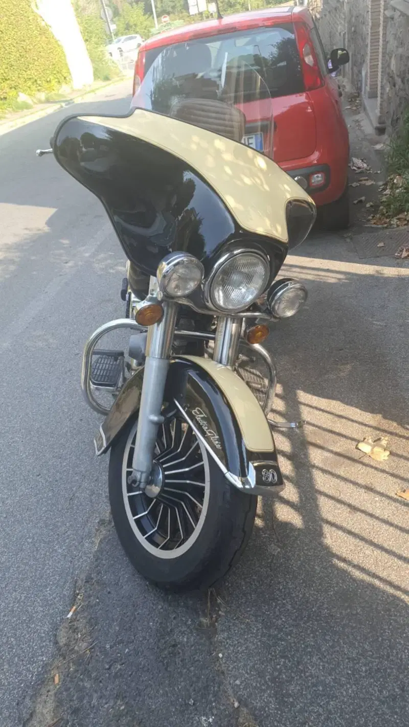 Harley-Davidson Flh shovelhead (5)
