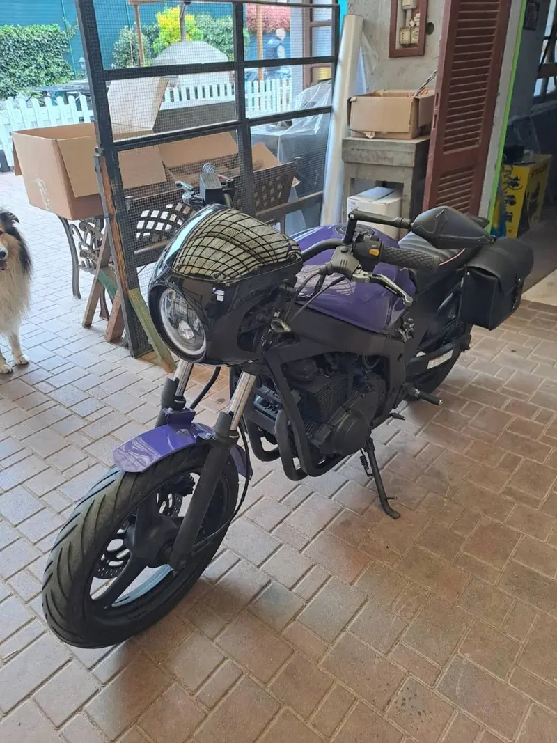 Suzuki GS 500 (2001 - 06) (3)