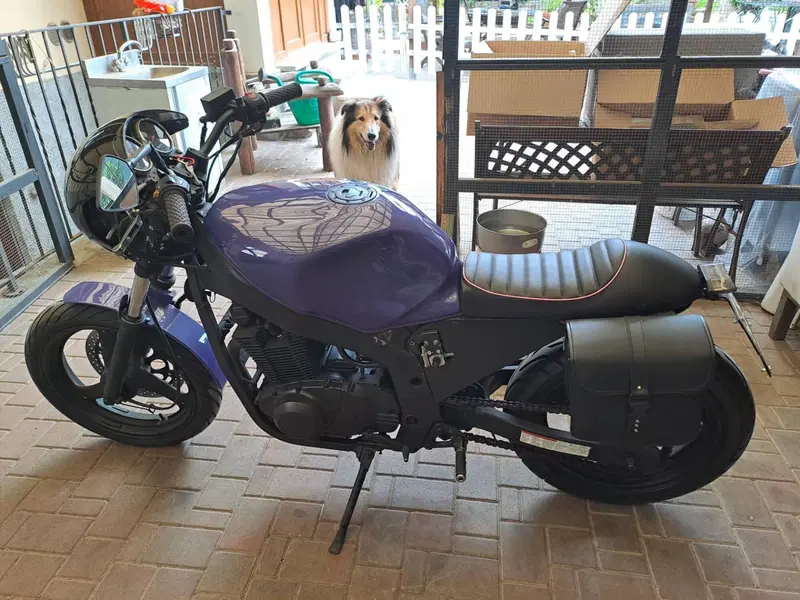 Suzuki GS 500 (2001 - 06) (4)