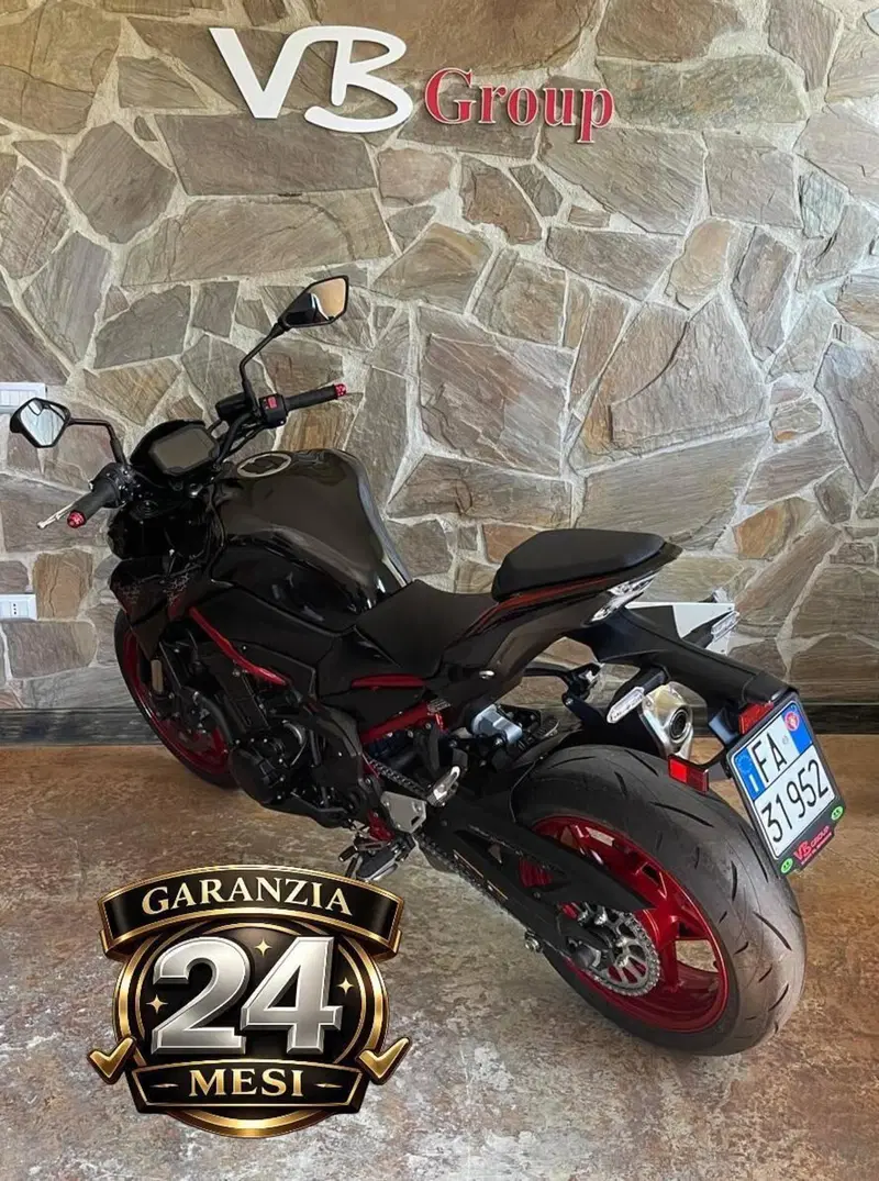 Kawasaki Z 900 (2021 - 24) (6)
