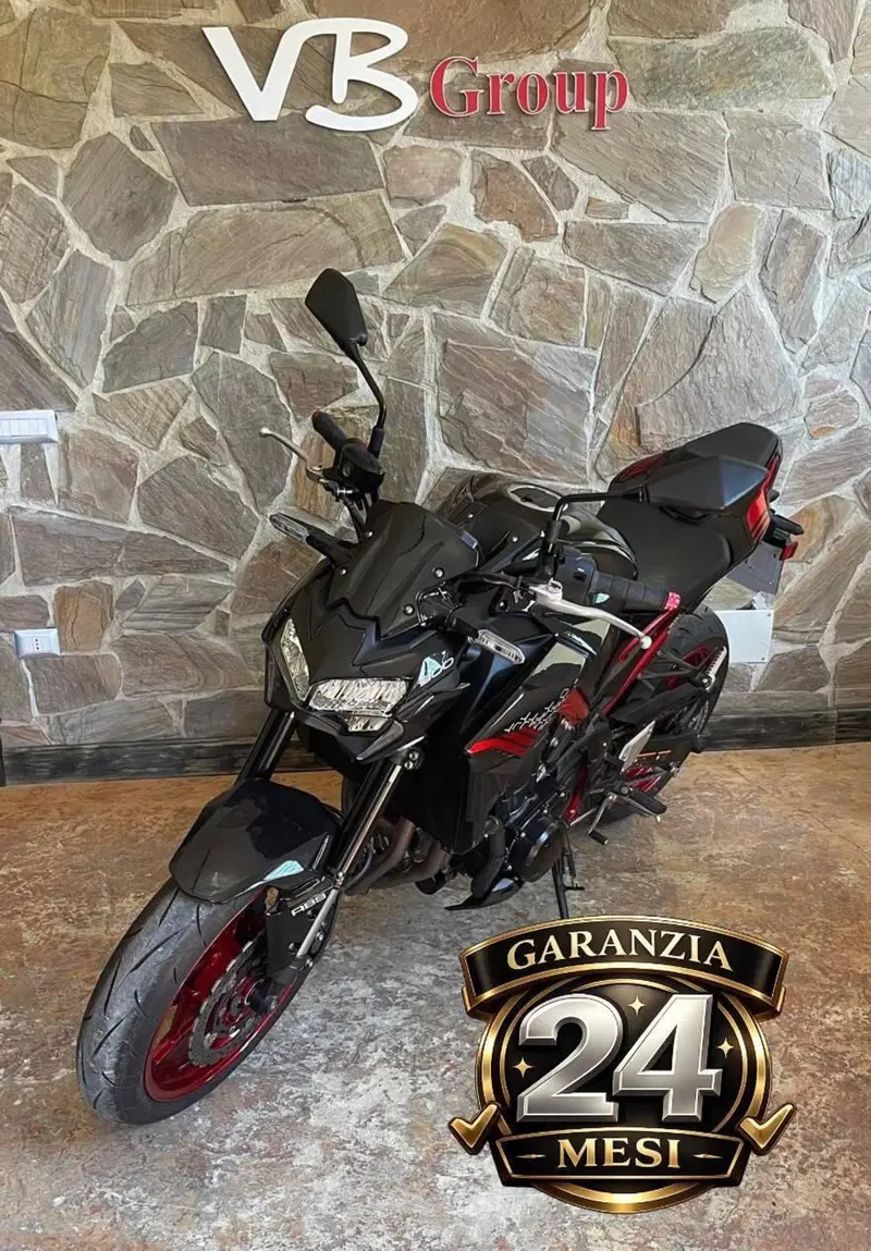 Kawasaki Z 900 (2021 - 24) (3)