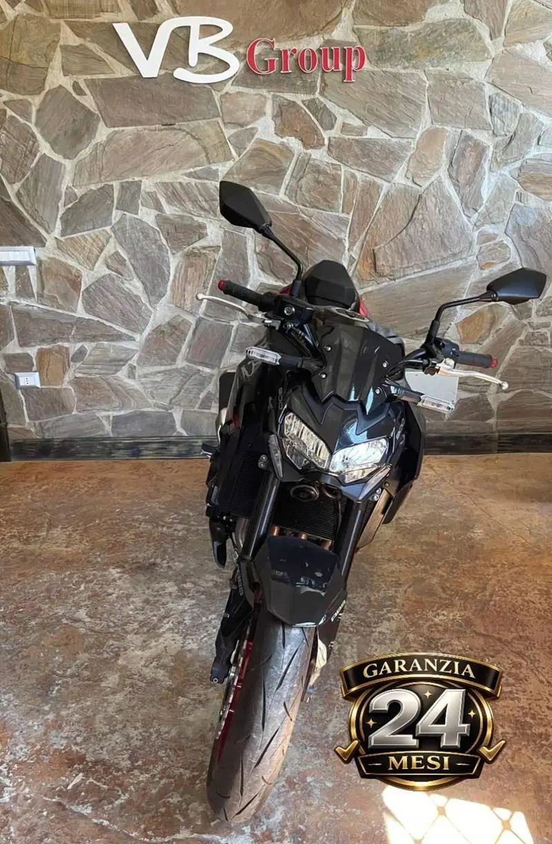 Kawasaki Z 900 (2021 - 24) (2)