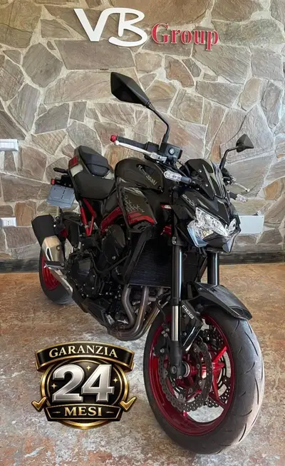 Kawasaki Z 900 (2021 - 24) usata