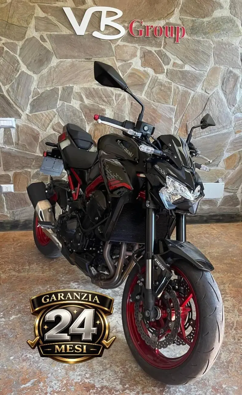 Kawasaki Z 900 (2021 - 24)