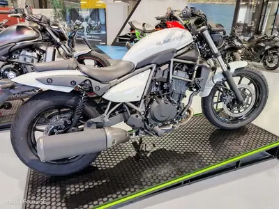 Kawasaki Eliminator 500 (2024 - 26) nuova