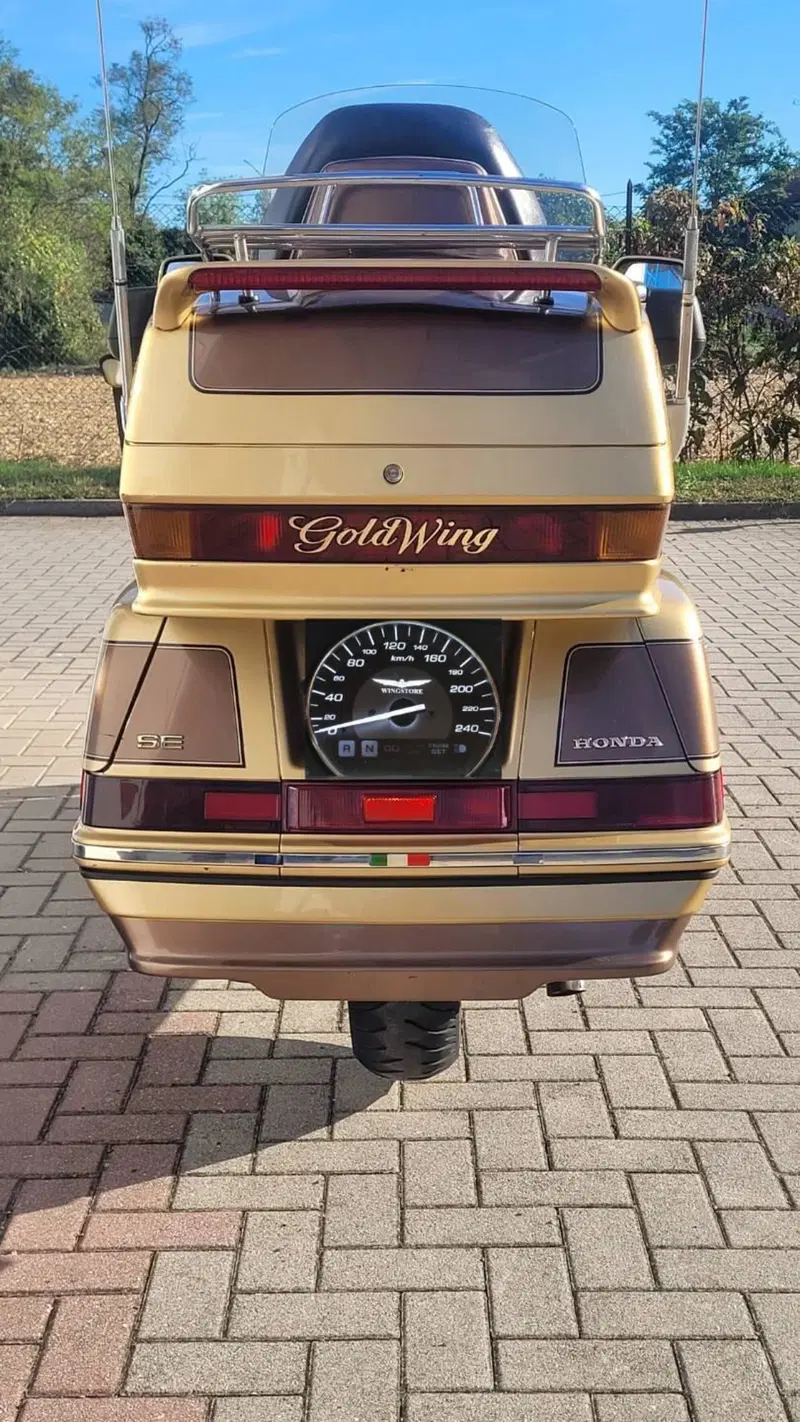 Honda GL 1500 SE Gold Wing (1991 - 02) (9)