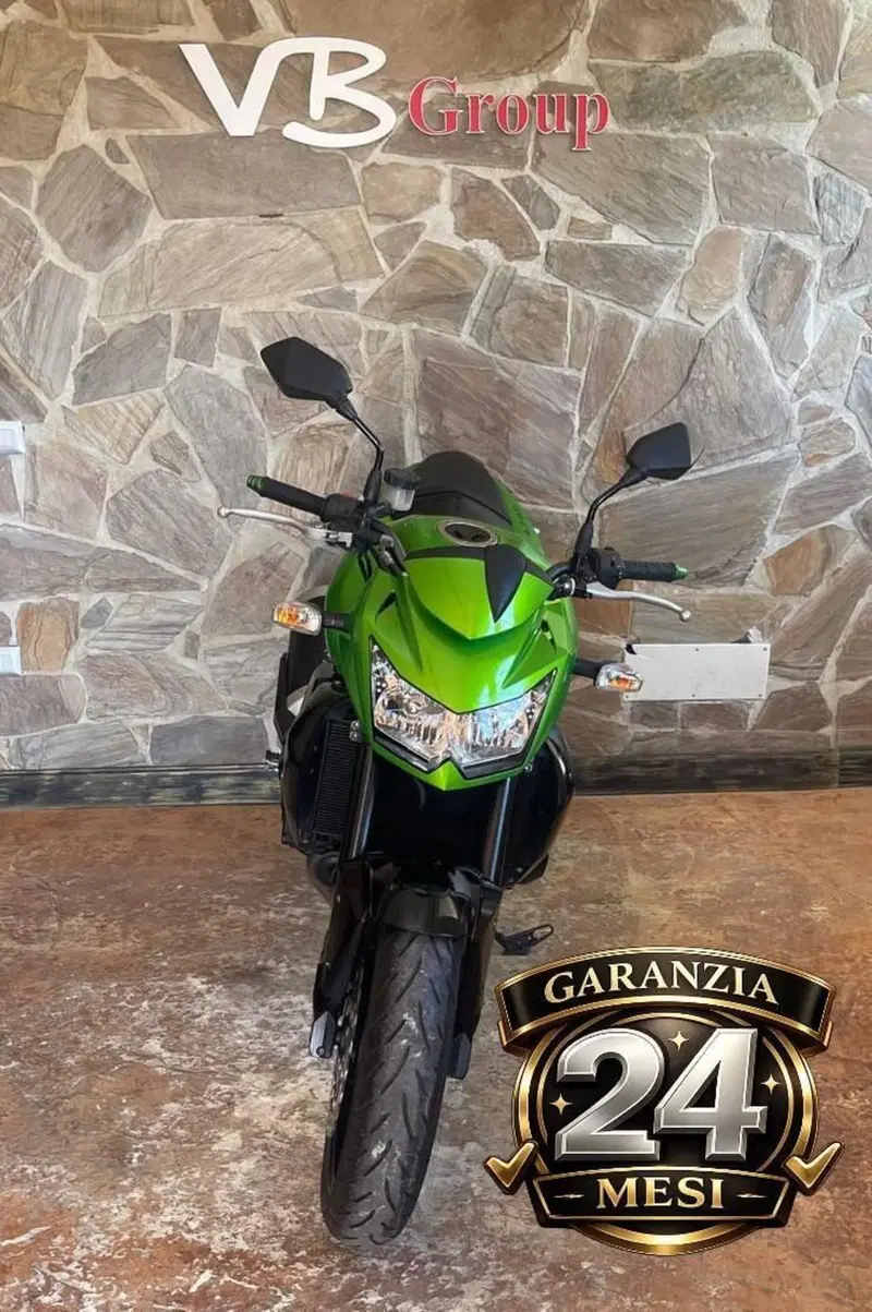 Kawasaki Z 750 (2007 - 14) (2)