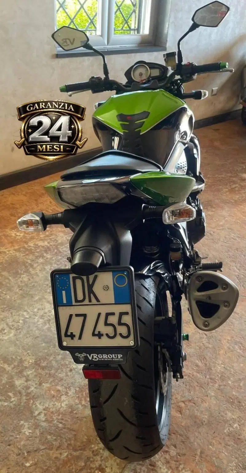 Kawasaki Z 750 (2007 - 14) (12)