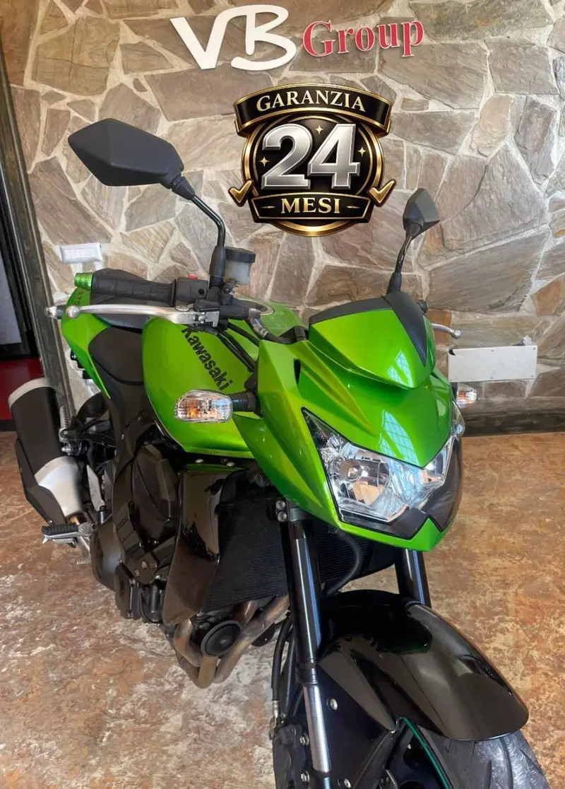 Kawasaki Z 750 (2007 - 14) (19)
