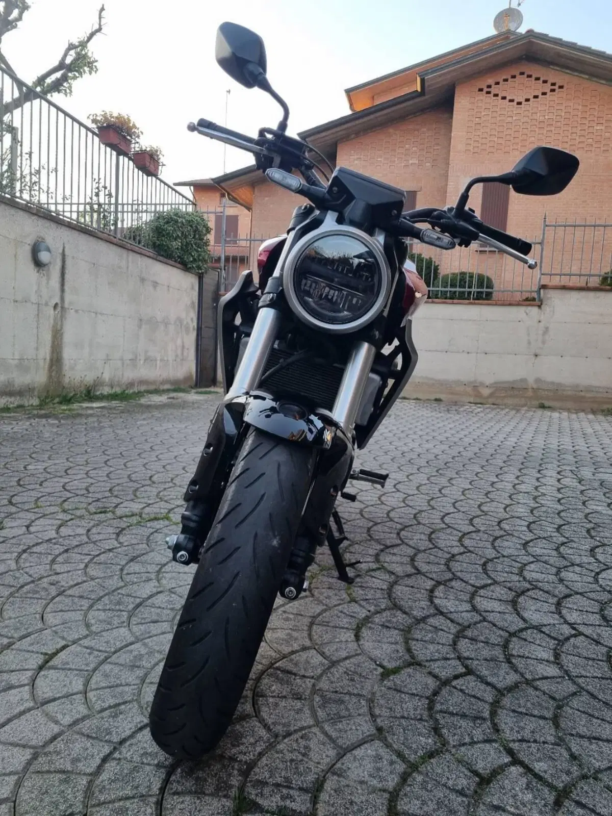Honda CB 300 R (2018 - 19) (4)
