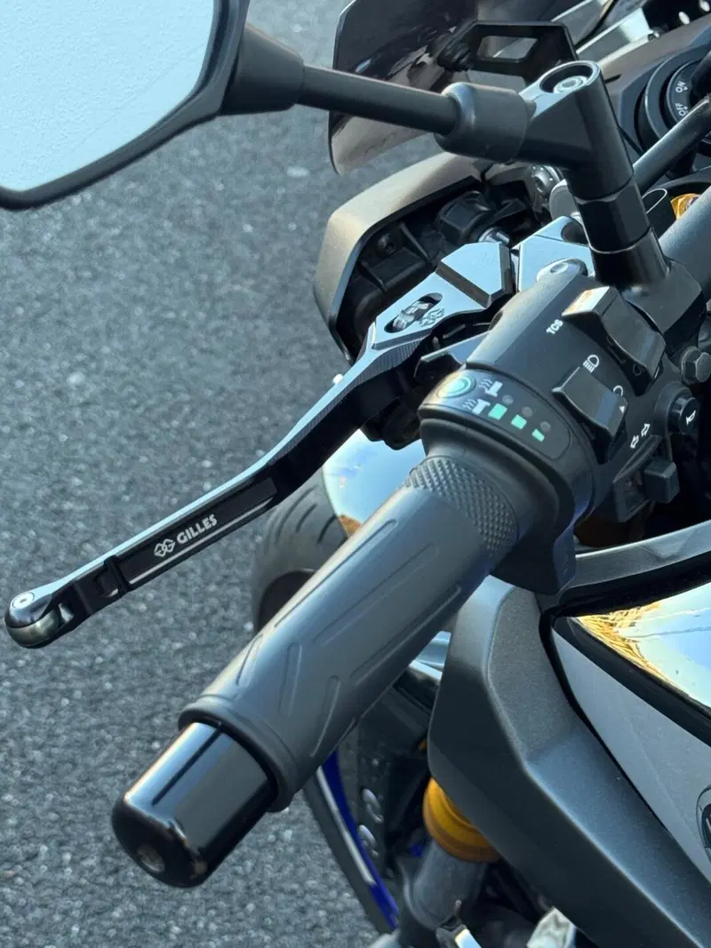 Yamaha MT-09 SP (2018 - 20) (13)
