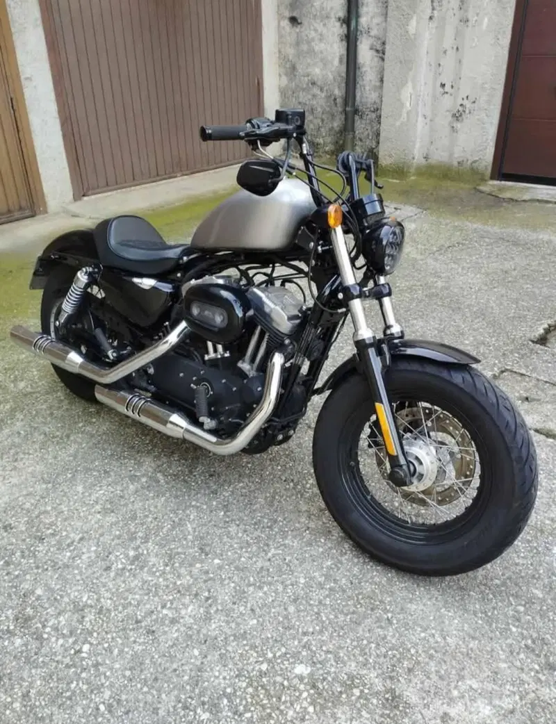 Harley-Davidson 1200 Forty-Eight (2010 - 15) (2)