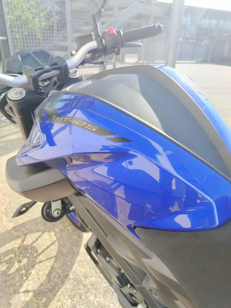 Yamaha MT-125 ABS (2017 - 19) (12)