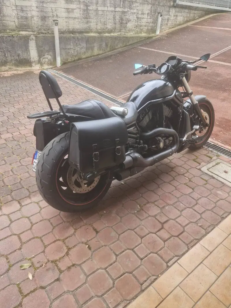 Harley-Davidson V rod  night rod  (4)