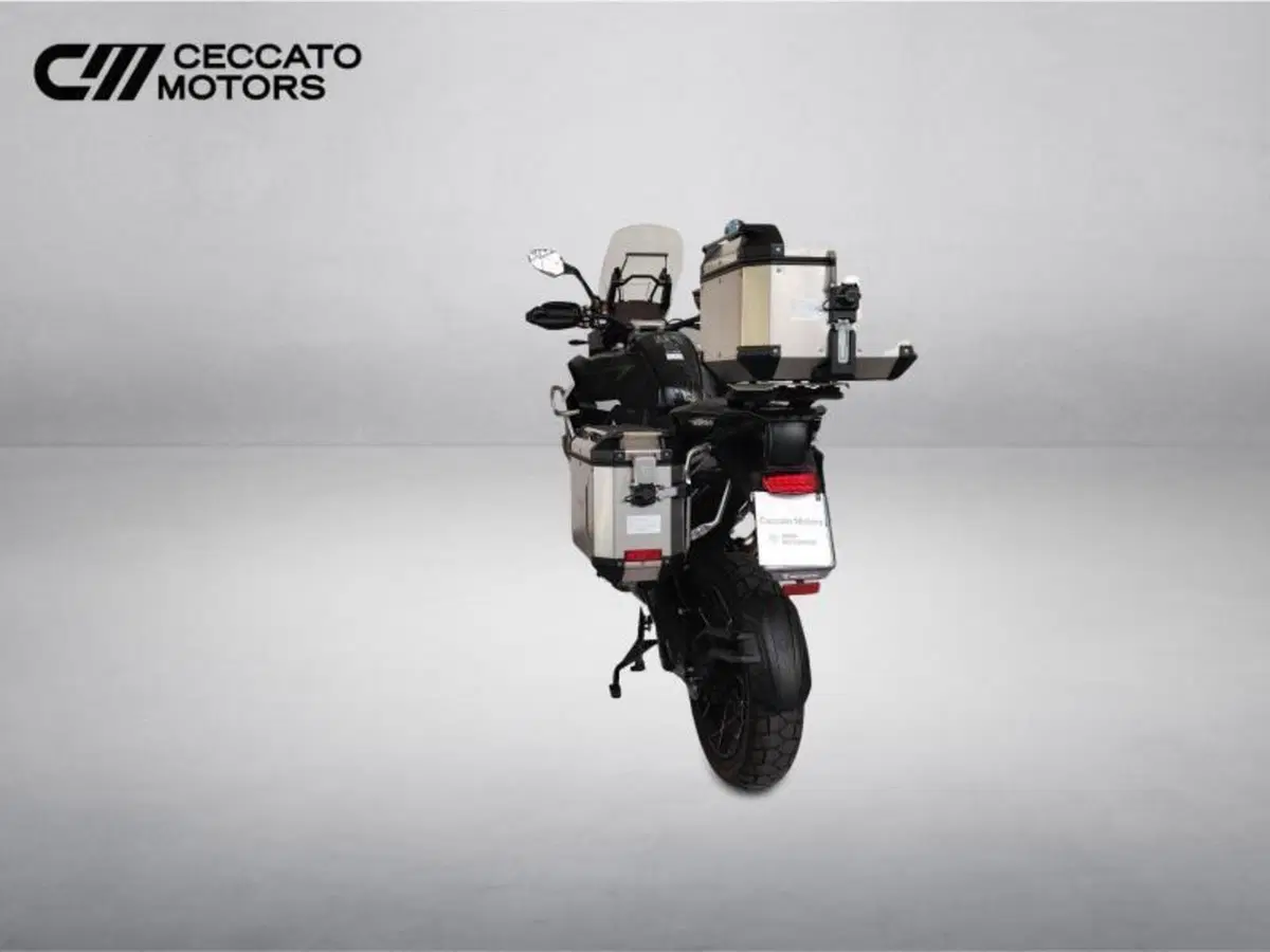 Triumph Tiger 1200 Rally Explorer (2022 - 23) (5)