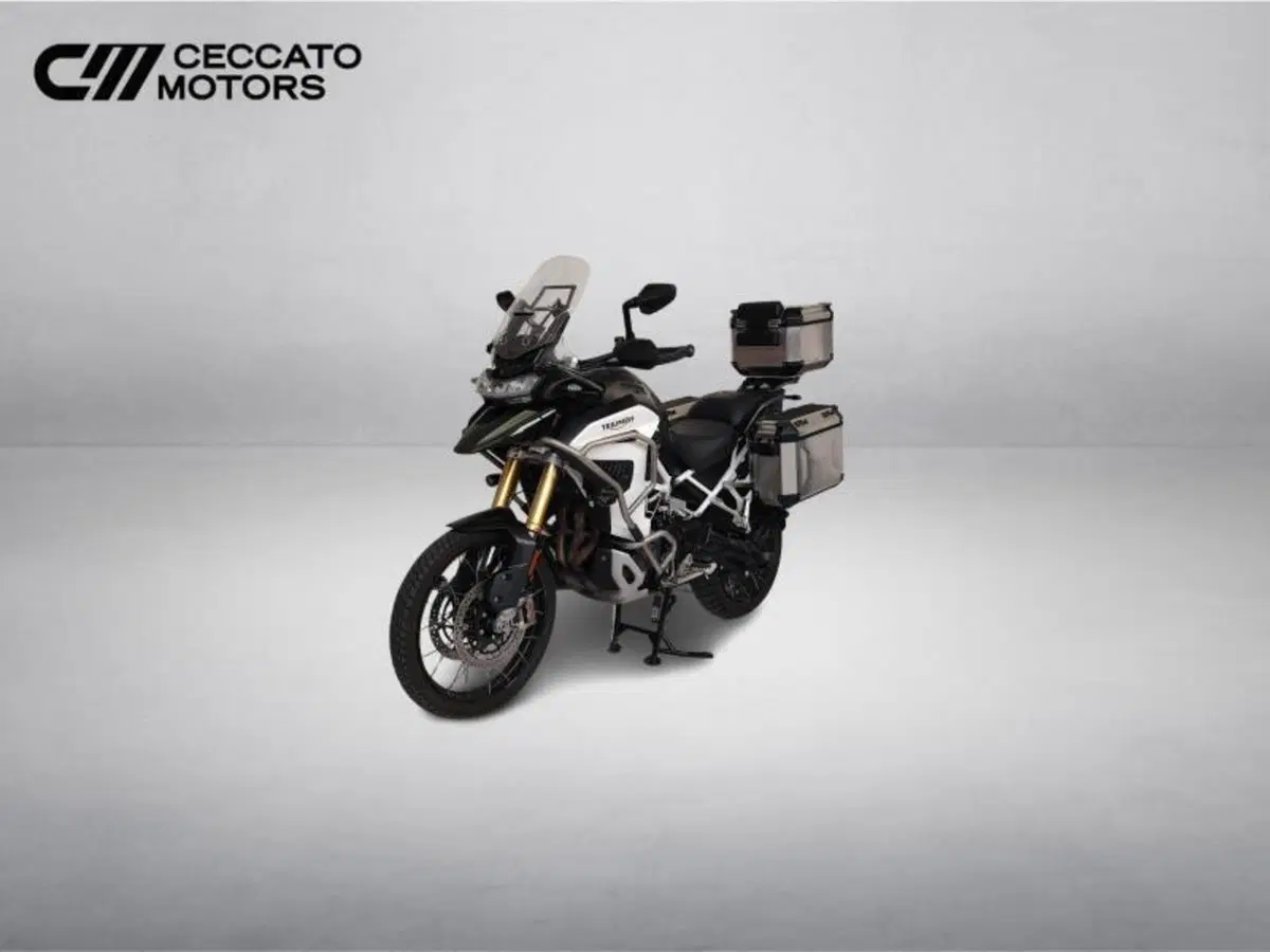 Triumph Tiger 1200 Rally Explorer (2022 - 23) (8)