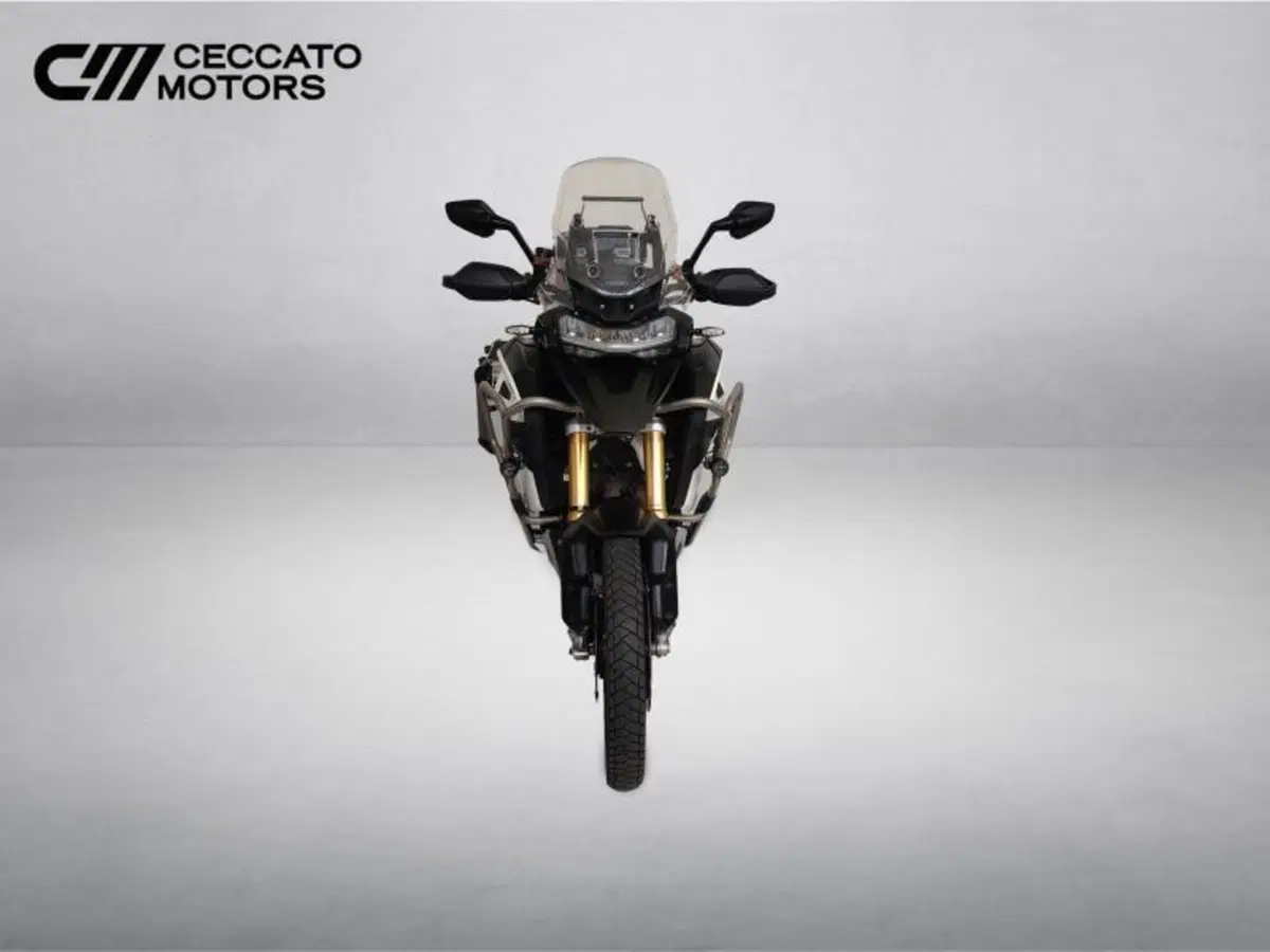 Triumph Tiger 1200 Rally Explorer (2022 - 23) (9)