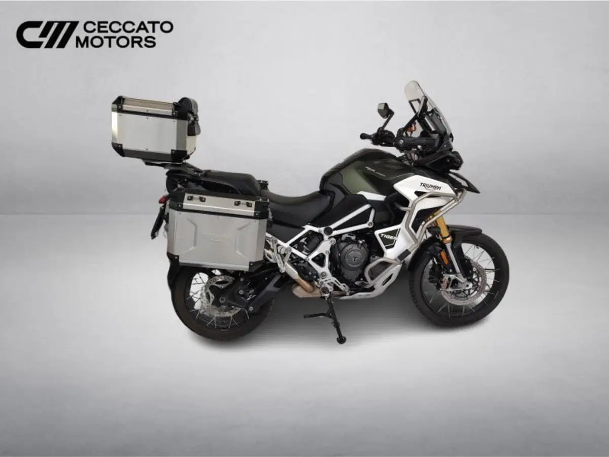 Triumph Tiger 1200 Rally Explorer (2022 - 23) (3)