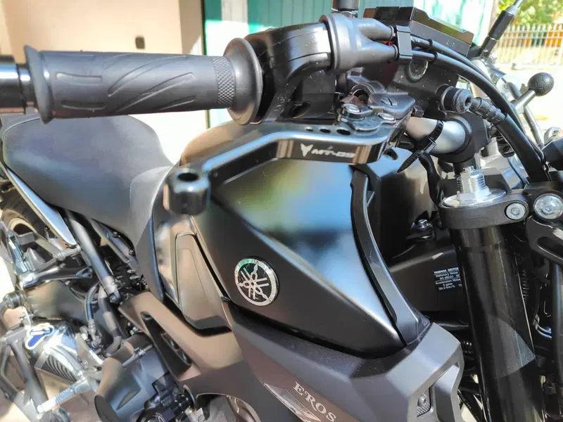 Yamaha MT-09 (2017 - 20) (6)