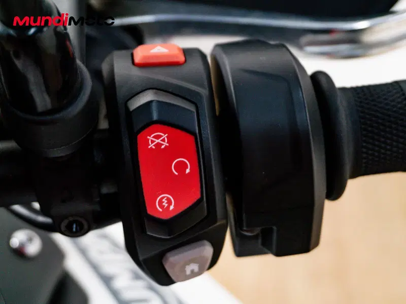 Triumph Tiger 900 Rally Pro (2020 - 23) (15)